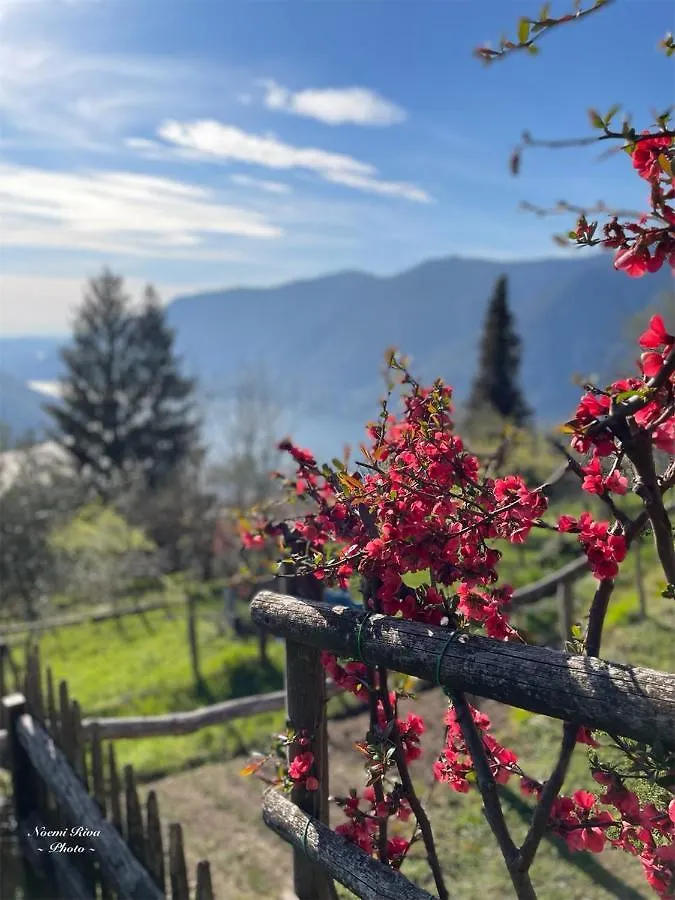 Appartamento Ca Al Borgo Faggeto Lario